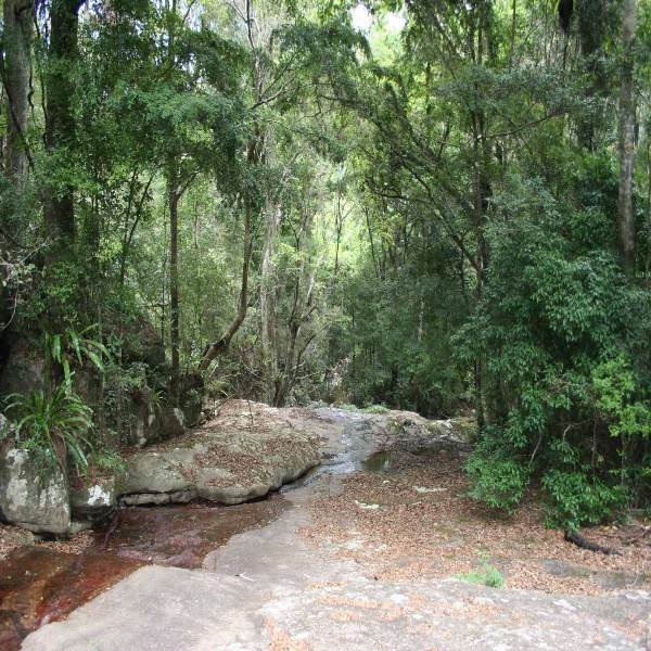 Andohahela National Park