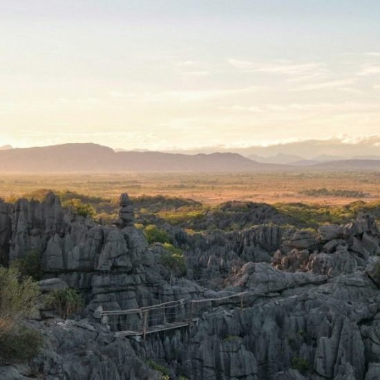 Ankarana National Park