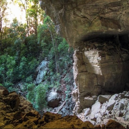 The Bats' Cave in Ankarana