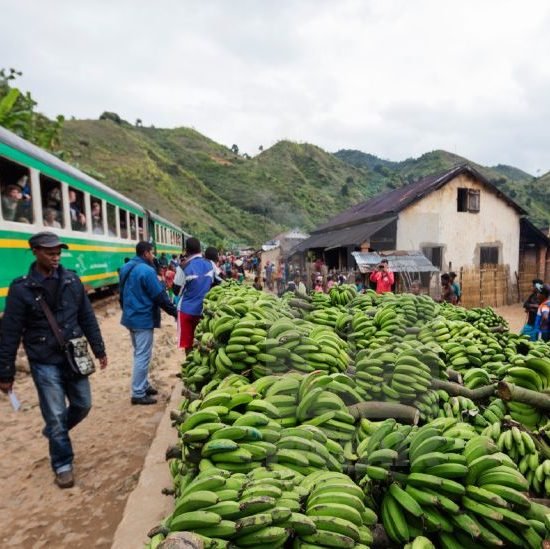 The Train Fianarantsoa - Manakara