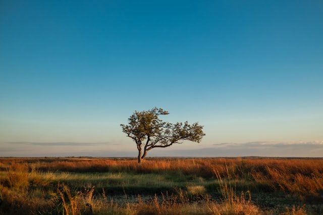 madagascar