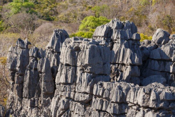 Le Parc National de l'Ankarana