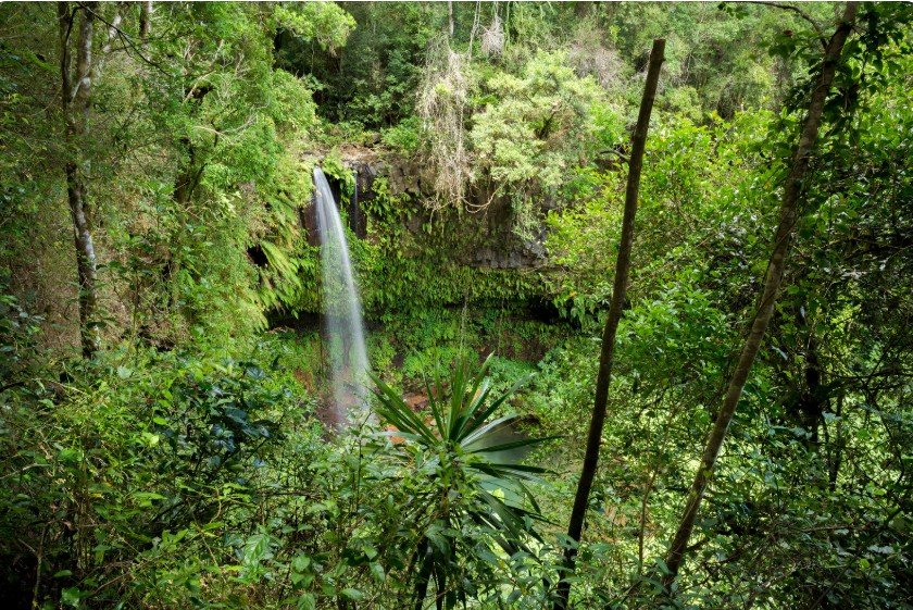 Amber Mountain National Park Day Trip
