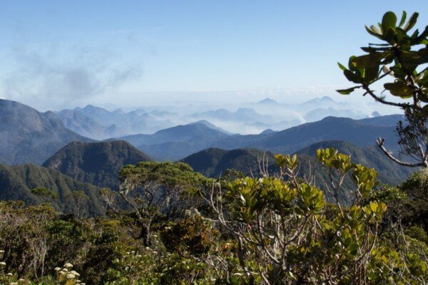 Le Parc National de Marojejy