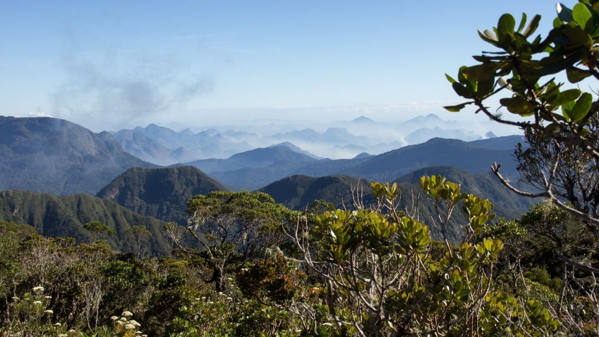 Parc National de Marojejy