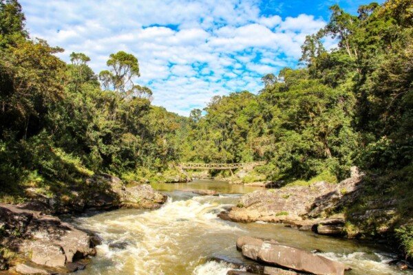 Parc National de Ranomafana
