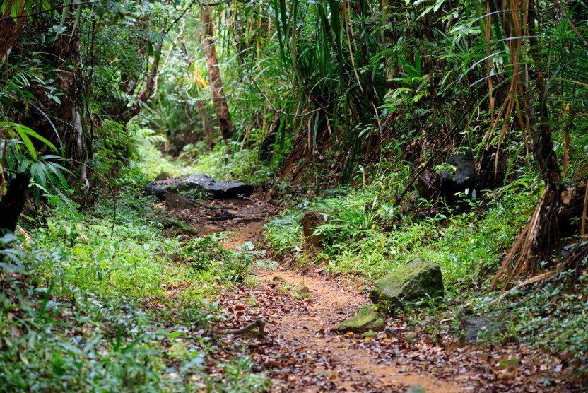 Parc National de Masoala
