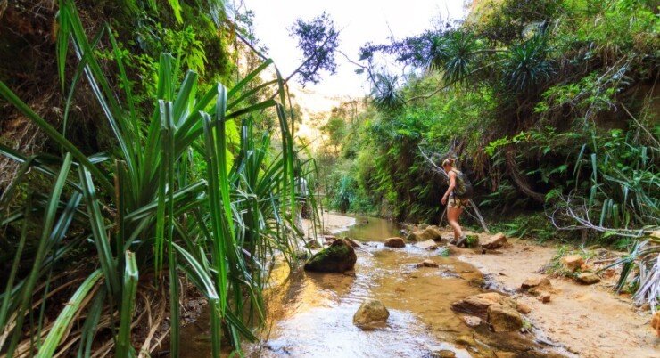 Reasons Why Madagascar Is an Adventurer’s Wonderland