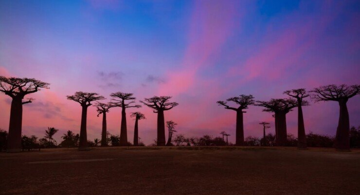 Why You Should Visit Madagascar in 2026: The Year of the Eighth Continent