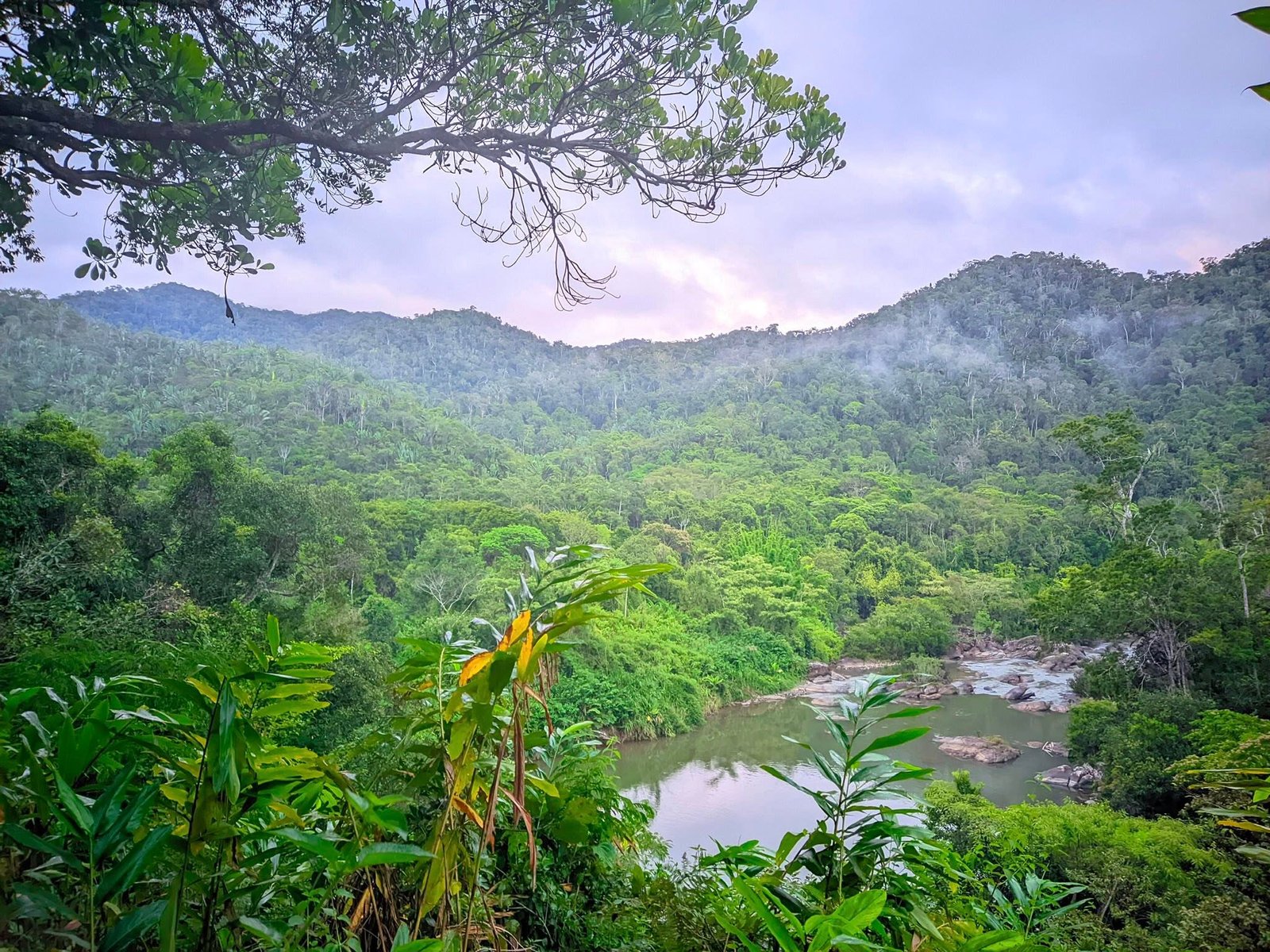 Zahamena National Park