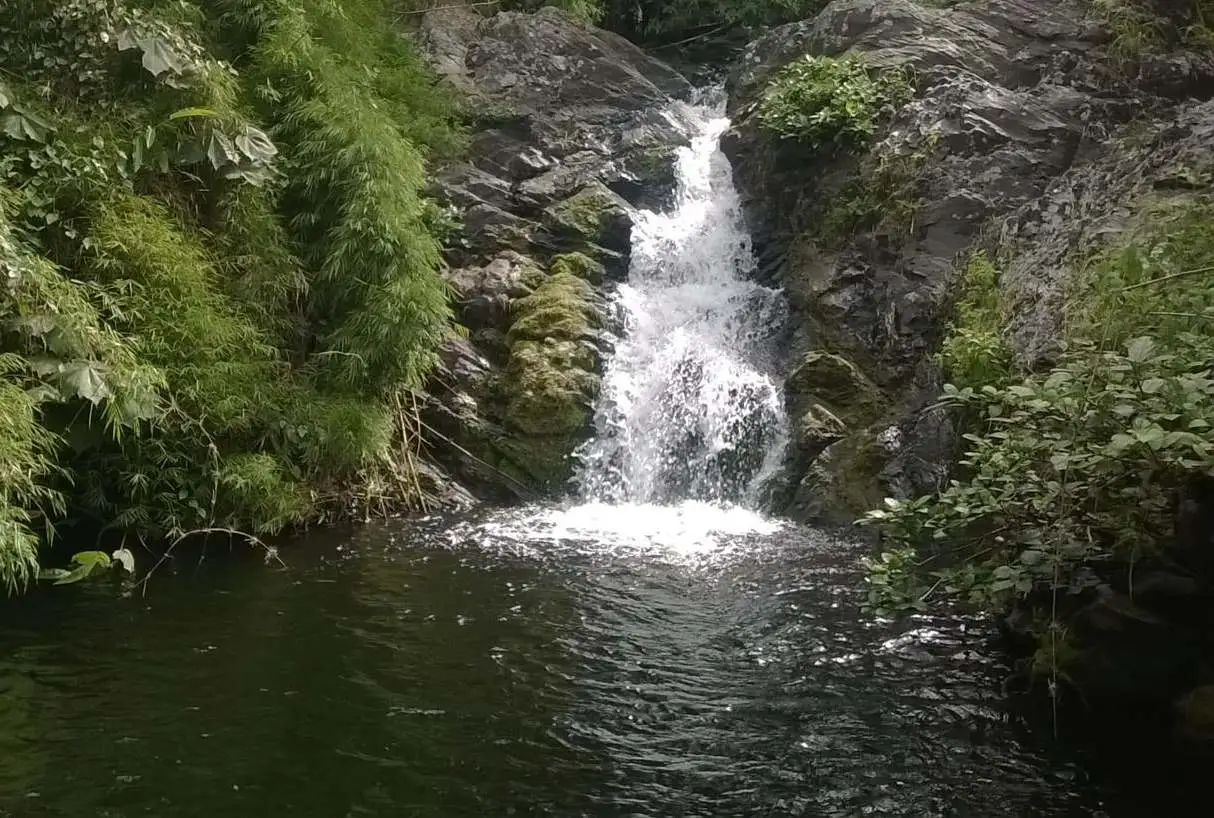 Marojejy National Park