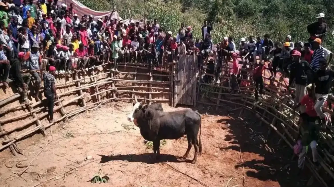 Savika in Ambositra: At the Core of Betsileo Heritage and Malagasy Spirit