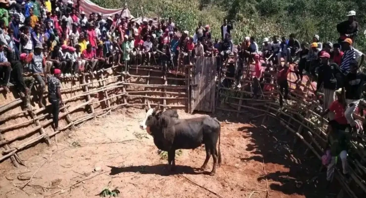 Savika in Ambositra: At the Core of Betsileo Heritage and Malagasy Spirit