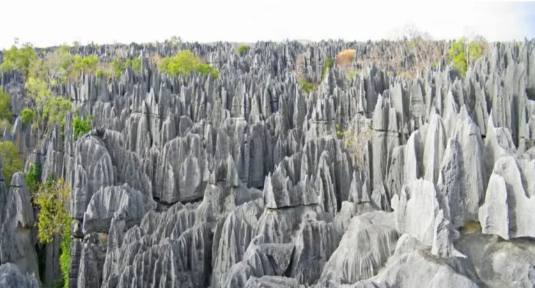 Parque Nacional de Tsingy de Bemaraha